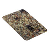 Kieselsteine in Taylor Creek Naturfotografie Magnet (Rechte Seite)