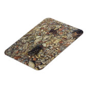 Kieselsteine in Taylor Creek Naturfotografie Magnet (Linke Seite)