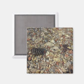 Kieselsteine in Taylor Creek Naturfotografie Magnet (Vorderseite/Rückseite)