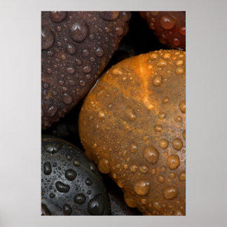 Kieselsteine mit Wassertropfen Poster