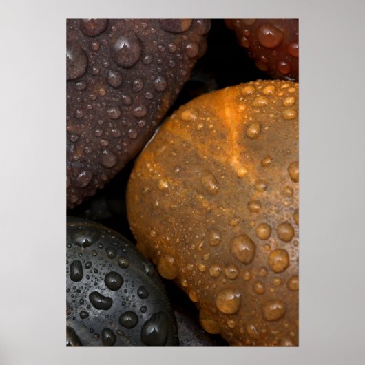 Kieselsteine mit Wassertropfen Poster (Vorne)
