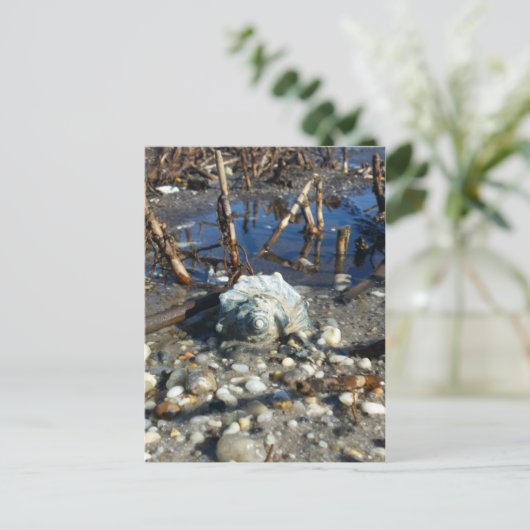 Kiesstrand 2 postkarte (Stehend Vorderseite)