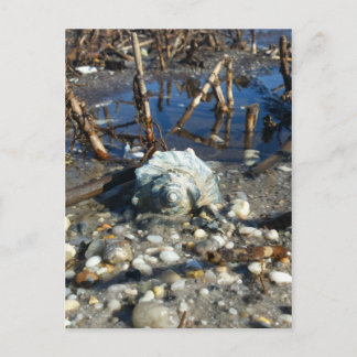 Kiesstrand 2 postkarte