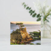 Kiesstrand, Kalifornien Postkarte (Stehend Vorderseite)