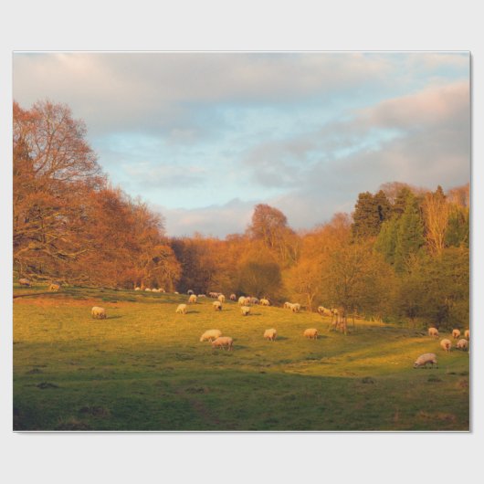 Kiftsack Geschenkpapier (Flach)