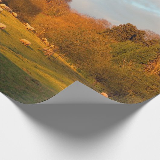 Kiftsack Geschenkpapier (Ecke)