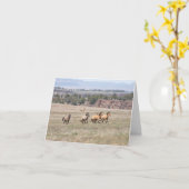 Kiger Bachelors Karte (Gelbe Blume)