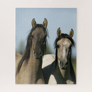 Kiger Mustang Horses Stehende Headshots Puzzle