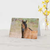 Kiger Stallion Grußkarte Karte (Gelbe Blume)