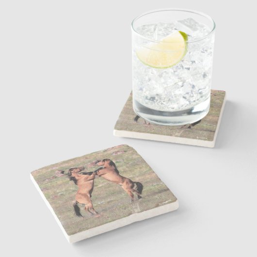 Kiger wilde Untersetzer (Seitenansicht)