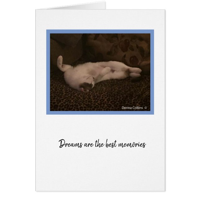 KiKi Collection #2 (Vorne)