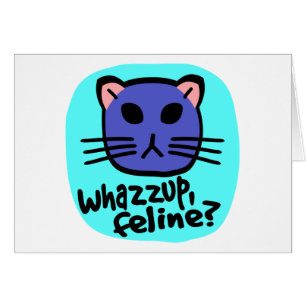 Kiki Miezekatze-Gesicht, Whazzup, katzenartig? Mit