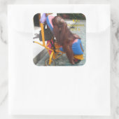 KiKi Orangutan im Rollstuhl Quadratischer Aufkleber (Tasche)