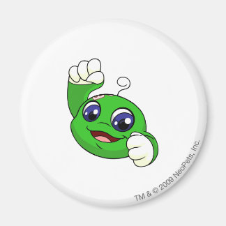 Kiko Green Magnet