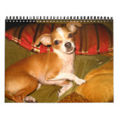 Kiko-Kalender Kalender (Titelbild)