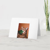 Kiko lolcat Feiertagskarte - Poof! (Rückseite)