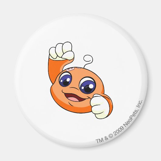 Kiko Orange Magnet (Vorne)