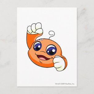 Kiko Orange Postkarte