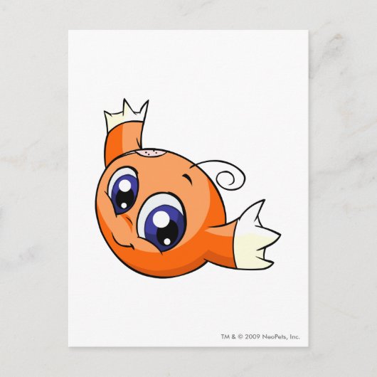 Kiko Orange Postkarte (Vorderseite)