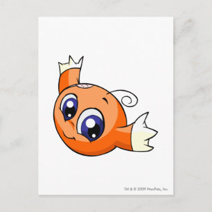 Kiko Orange Postkarte