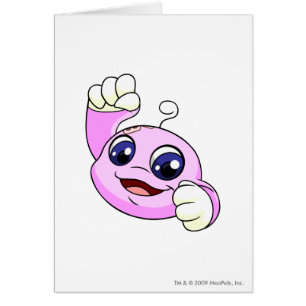 Kiko Rosa