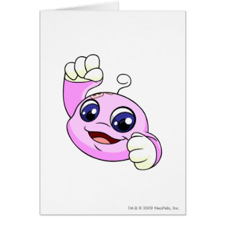 Kiko Rosa