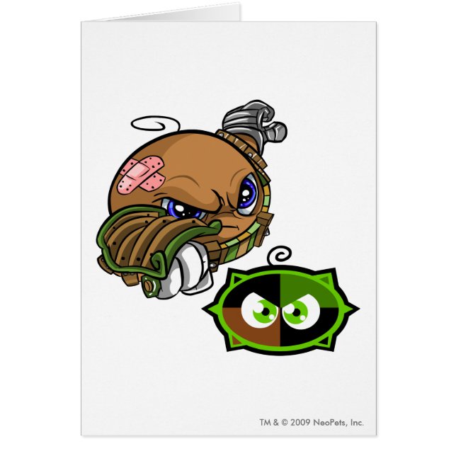 Kiko See-Team-Kapitän 1 (Vorne)