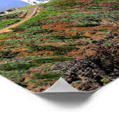 Kilauea Lighthouse auf Kauai Poster (Ecke)