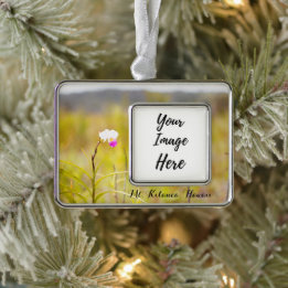 Kilauea Volcanoes Nationalpark Hawaii Rahmen-Ornament Silber