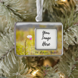 Kilauea Volcanoes Nationalpark Hawaii Rahmen-Ornament Silber