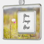 Kilauea Volcanoes Nationalpark Hawaii Rahmen-Ornament Silber (Links)