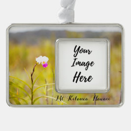 Kilauea Volcanoes Nationalpark Hawaii Rahmen-Ornament Silber