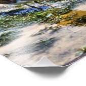 Kildeer im Wasser Fotodruck (Ecke)