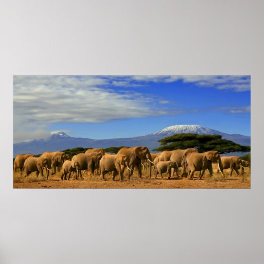 Kilimanjaro And Elephants Poster (Vorne)