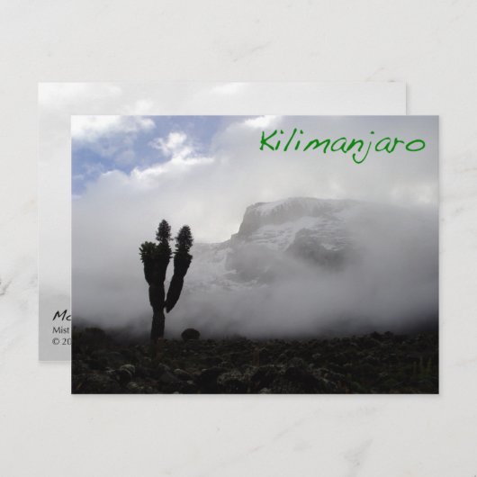 Kilimanjaro Postkarte (Vorne/Hinten)