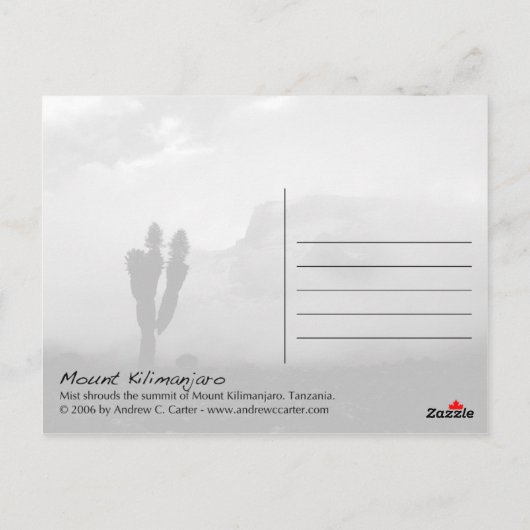 Kilimanjaro Postkarte (Rückseite)
