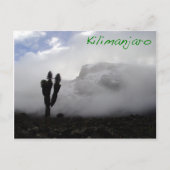 Kilimanjaro Postkarte (Vorderseite)