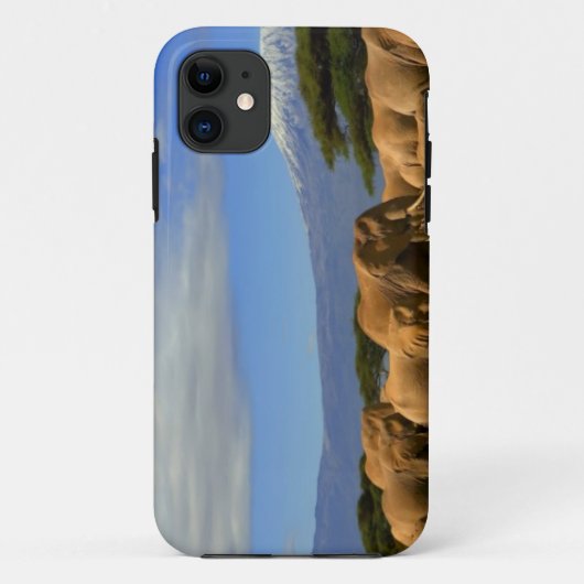 Kilimanjaro und Elefanten Case-Mate iPhone Hülle (Rückseite)