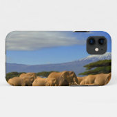 Kilimanjaro und Elefanten Case-Mate iPhone Hülle (Rückseite (Horizontal))