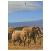 Kilimanjaro und Elefanten Klemmbrett (Rückseite)