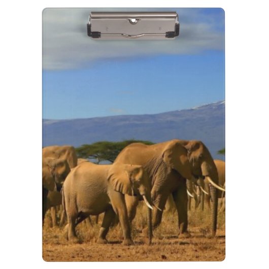 Kilimanjaro und Elefanten Klemmbrett (Vorderseite)