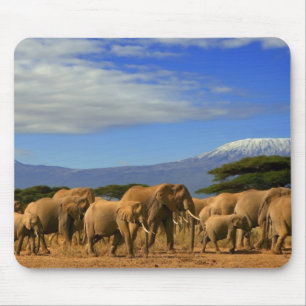 Kilimanjaro und Elefanten Mousepad