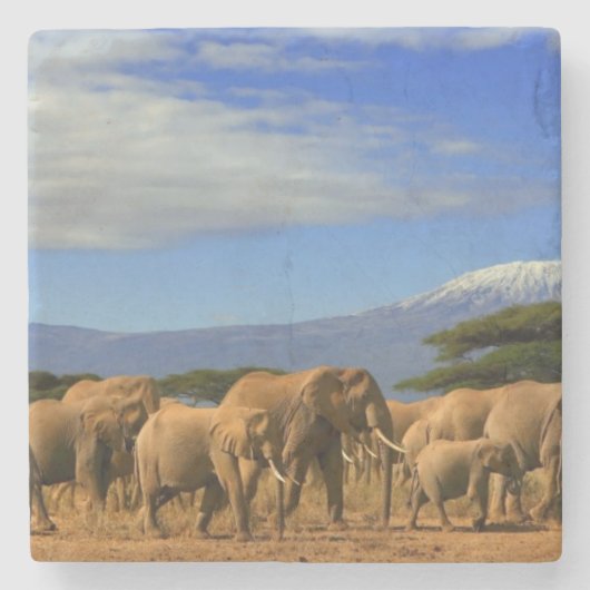 Kilimanjaro und Elefanten Steinuntersetzer (Vorderseite)