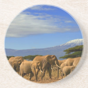 Kilimanjaro und Elefanten Untersetzer