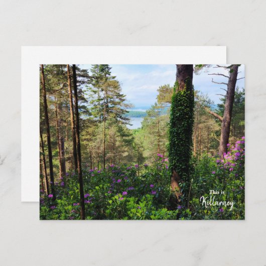 Killarney - Irland Postkarte (Vorne/Hinten)
