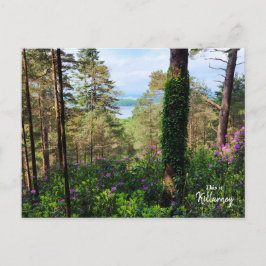 Killarney - Irland Postkarte