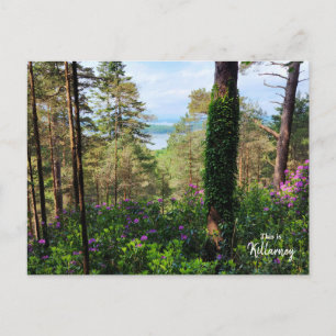 Killarney - Irland Postkarte