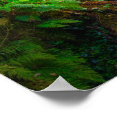 Killarney Irland Wasserfall Druck | Wald Kunst Poster (Ecke)