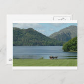 Killarney Seen und Jarvey Postkarte (Vorne/Hinten)