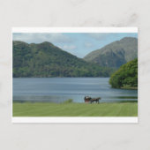 Killarney Seen und Jarvey Postkarte (Vorderseite)